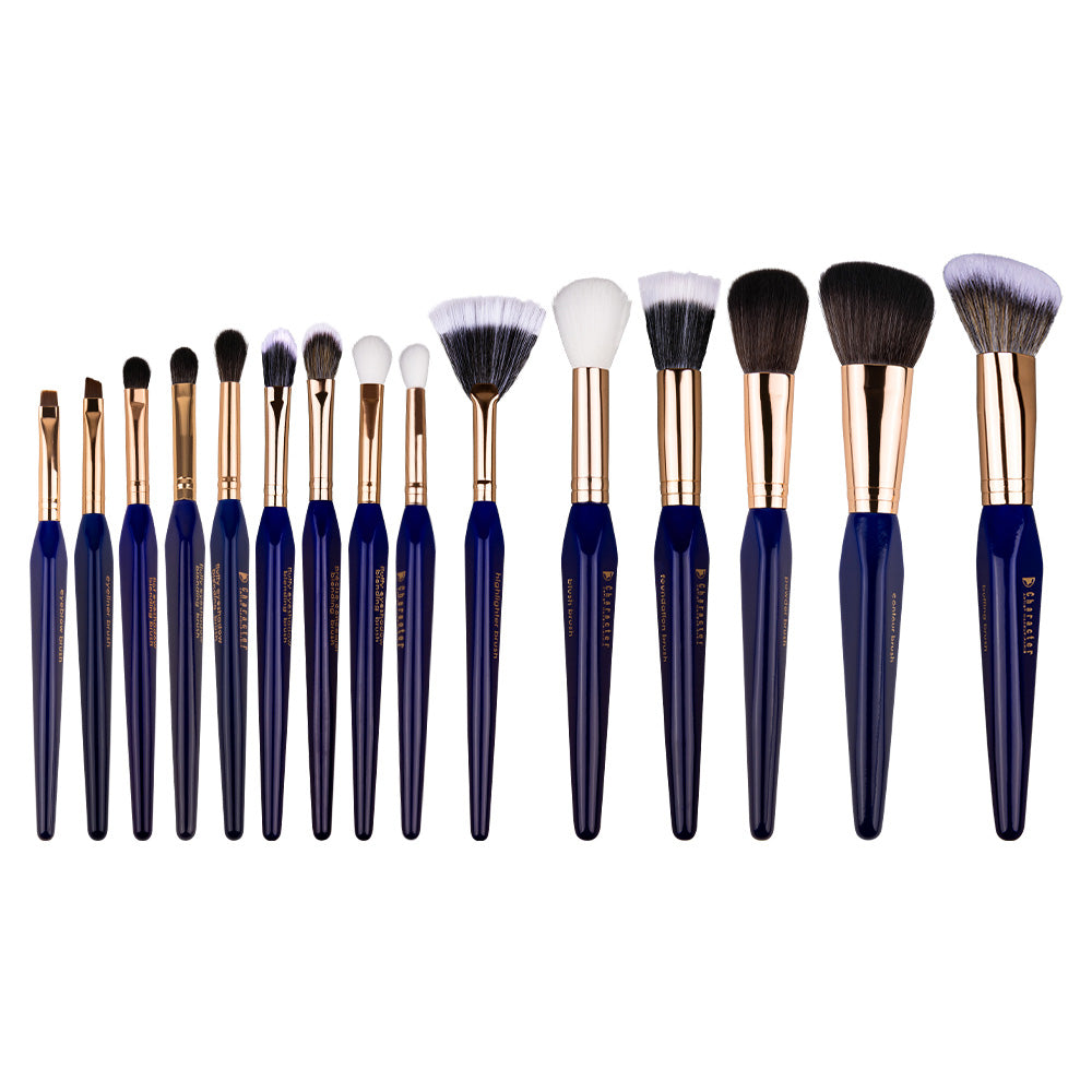 Character 15 Pieces Brush Set