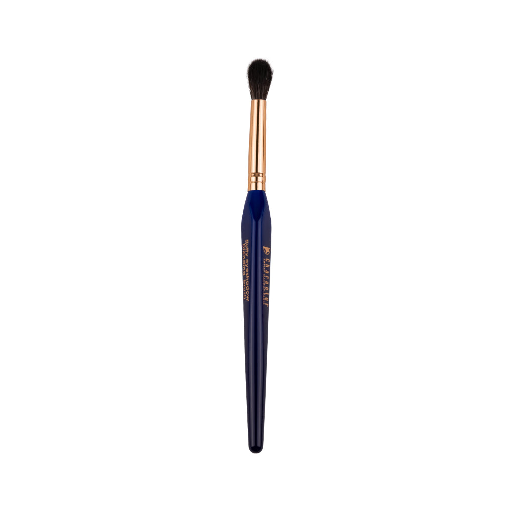 Character 15 Pieces Brush Set