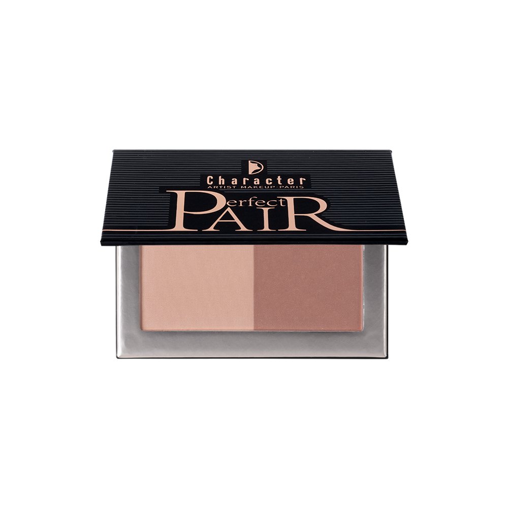 Character Pair Perfect 2 Color Blush
