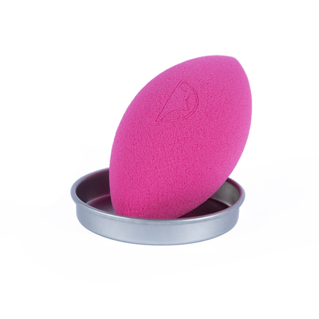 Character Sponge With Tray ( A )