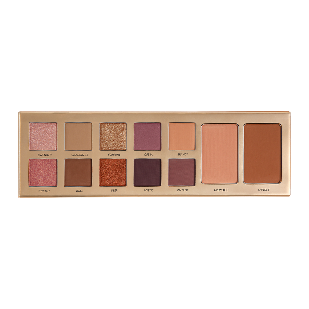 Future Makeup 10 Color Eyeshadow + 2 Color Blush Palette