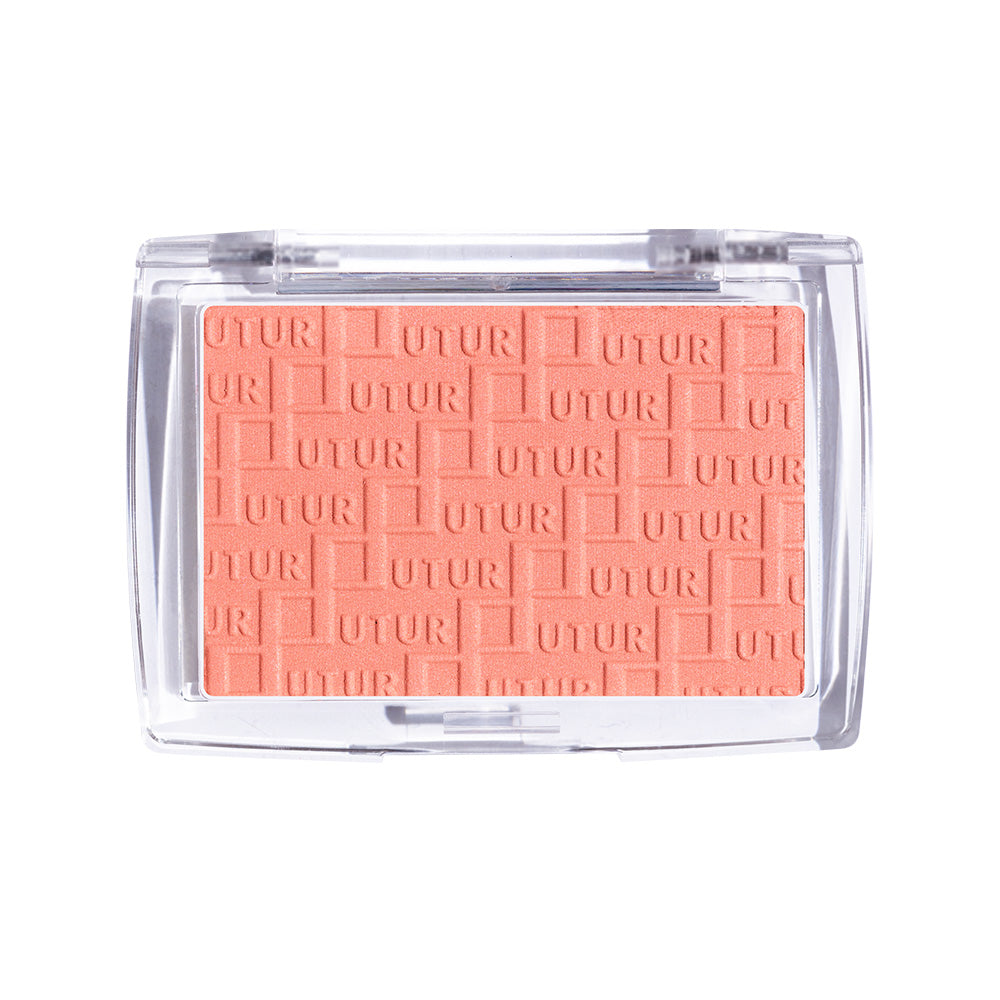 Future Makeup Blusher